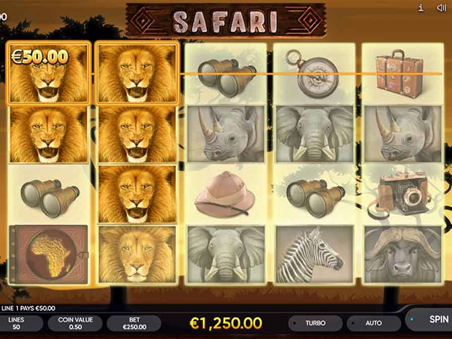 Safari