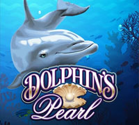 Dolphins Pearl